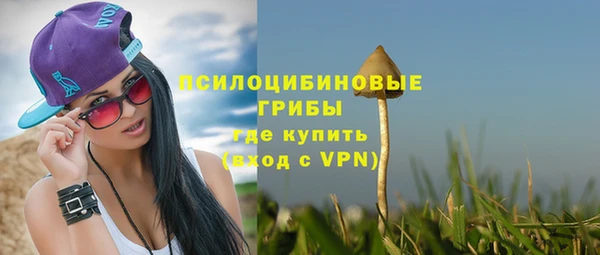 стафф Алексеевка