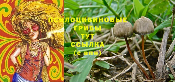 стафф Алексеевка
