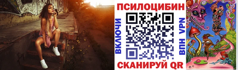 Псилоцибиновые грибы GOLDEN TEACHER где найти наркотики Дмитриев